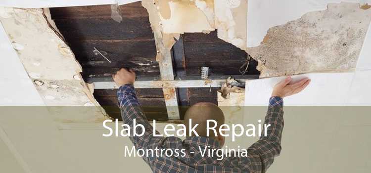 Slab Leak Repair Montross - Virginia