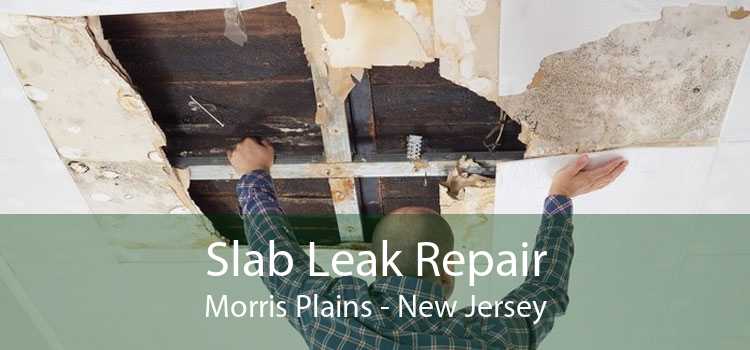 Slab Leak Repair Morris Plains - New Jersey