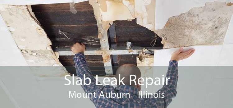 Slab Leak Repair Mount Auburn - Illinois