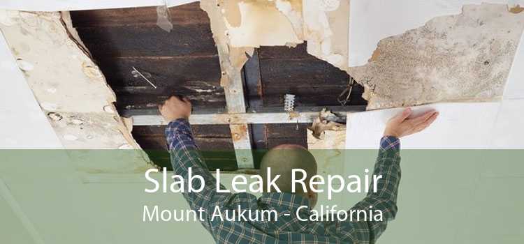 Slab Leak Repair Mount Aukum - California