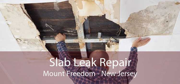 Slab Leak Repair Mount Freedom - New Jersey