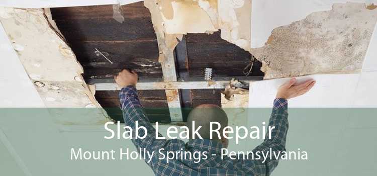 Slab Leak Repair Mount Holly Springs - Pennsylvania