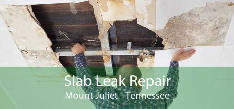 Slab Leak Repair Mount Juliet - Tennessee