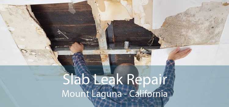 Slab Leak Repair Mount Laguna - California