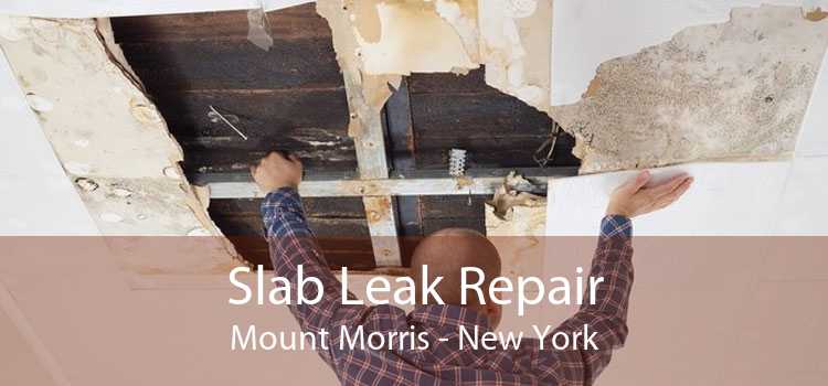 Slab Leak Repair Mount Morris - New York