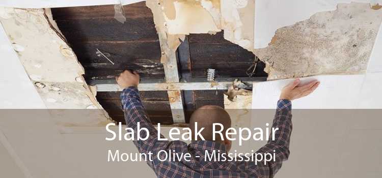 Slab Leak Repair Mount Olive - Mississippi