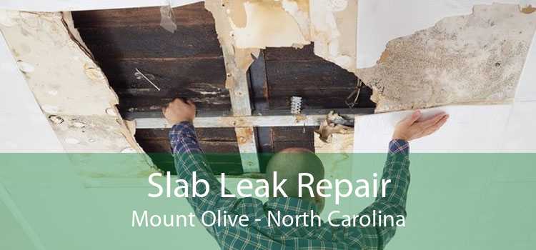 Slab Leak Repair Mount Olive - North Carolina