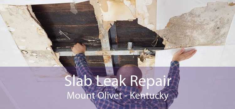 Slab Leak Repair Mount Olivet - Kentucky