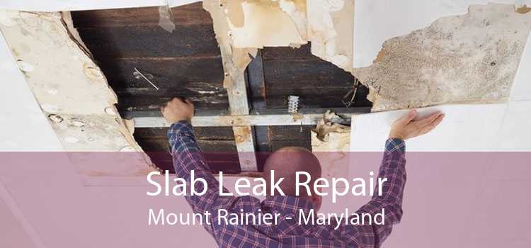 Slab Leak Repair Mount Rainier - Maryland