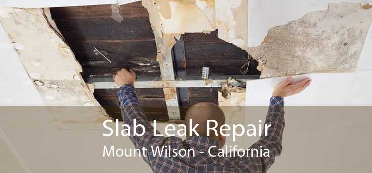 Slab Leak Repair Mount Wilson - California