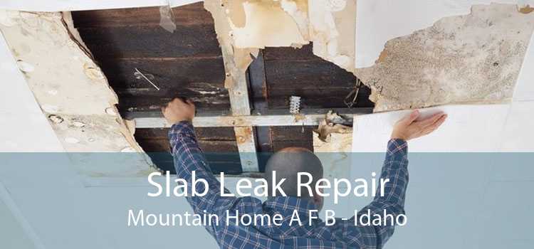 Slab Leak Repair Mountain Home A F B - Idaho