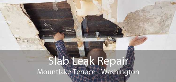 Slab Leak Repair Mountlake Terrace - Washington