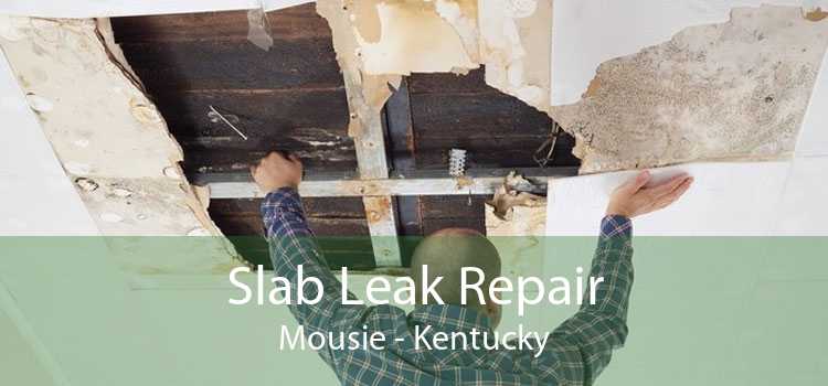 Slab Leak Repair Mousie - Kentucky