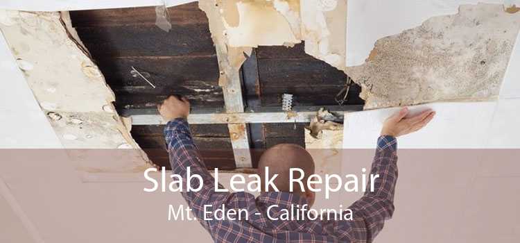 Slab Leak Repair Mt. Eden - California