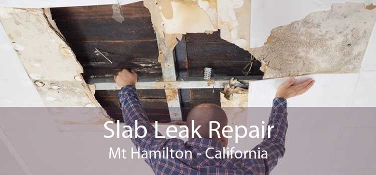 Slab Leak Repair Mt Hamilton - California