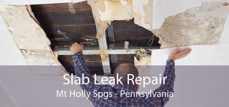 Slab Leak Repair Mt Holly Spgs - Pennsylvania