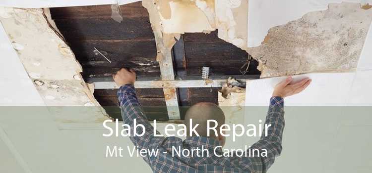 Slab Leak Repair Mt View - North Carolina