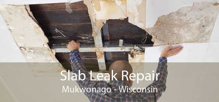 Slab Leak Repair Mukwonago - Wisconsin