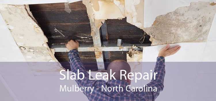 Slab Leak Repair Mulberry - North Carolina
