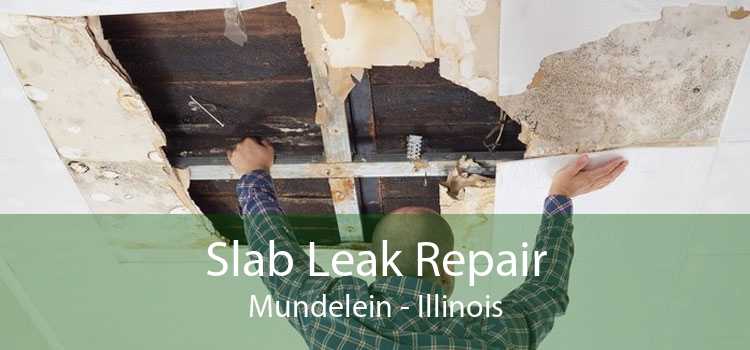 Slab Leak Repair Mundelein - Illinois