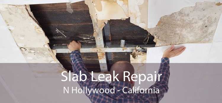 Slab Leak Repair N Hollywood - California