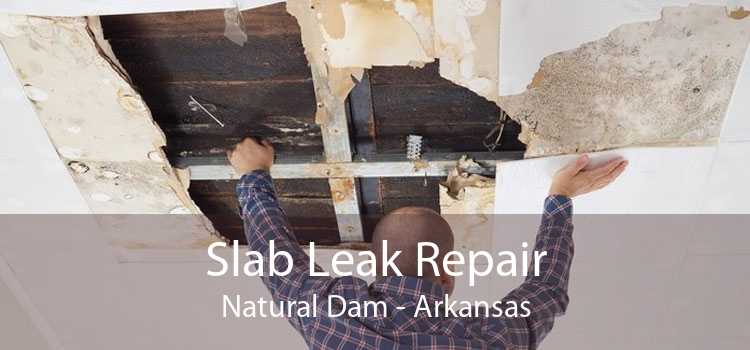 Slab Leak Repair Natural Dam - Arkansas