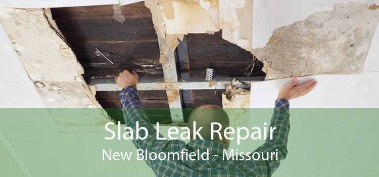 Slab Leak Repair New Bloomfield - Missouri