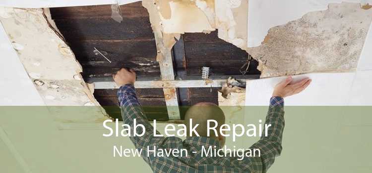 Slab Leak Repair New Haven - Michigan