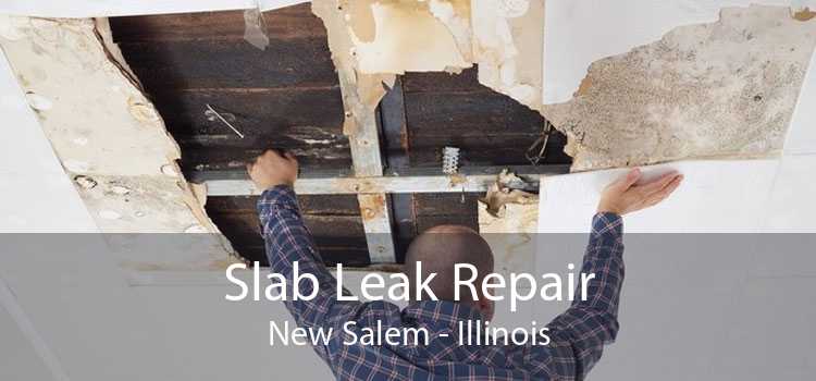 Slab Leak Repair New Salem - Illinois
