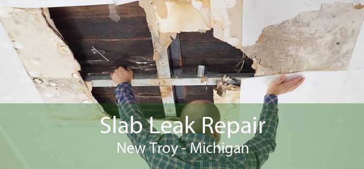 Slab Leak Repair New Troy - Michigan