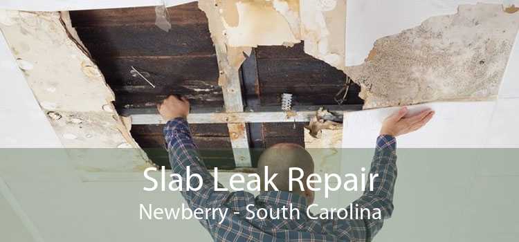 Slab Leak Repair Newberry - South Carolina