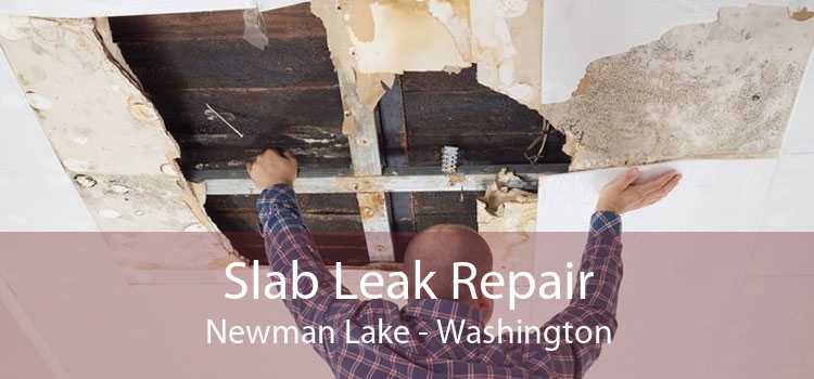 Slab Leak Repair Newman Lake - Washington