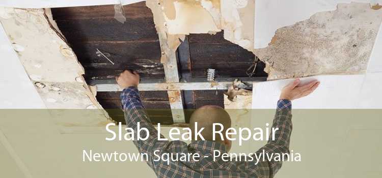 Slab Leak Repair Newtown Square - Pennsylvania