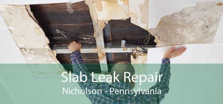 Slab Leak Repair Nicholson - Pennsylvania