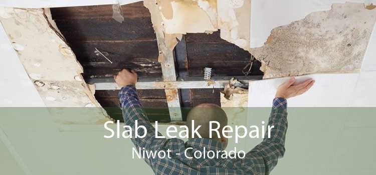 Slab Leak Repair Niwot - Colorado