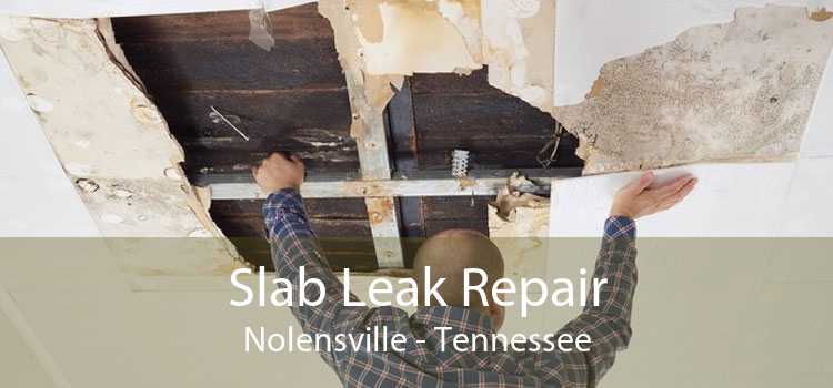 Slab Leak Repair Nolensville - Tennessee