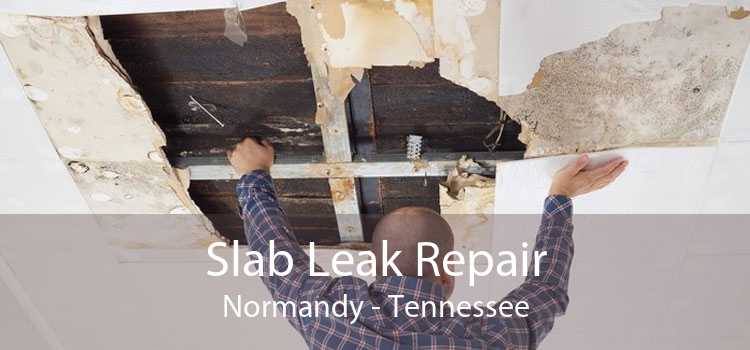 Slab Leak Repair Normandy - Tennessee