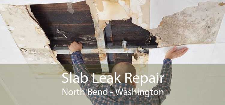 Slab Leak Repair North Bend - Washington