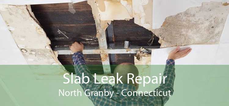 Slab Leak Repair North Granby - Connecticut