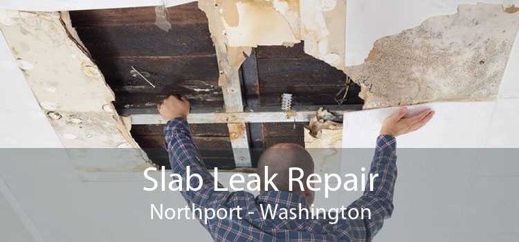 Slab Leak Repair Northport - Washington
