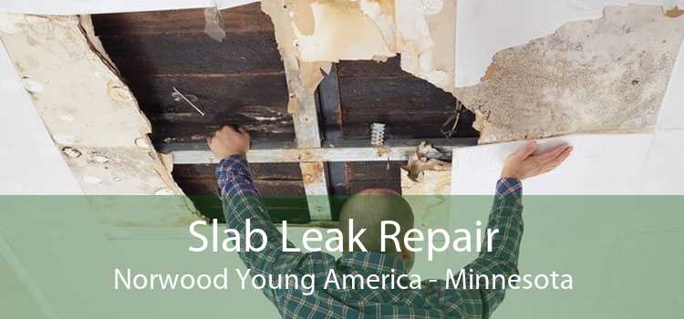 Slab Leak Repair Norwood Young America - Minnesota