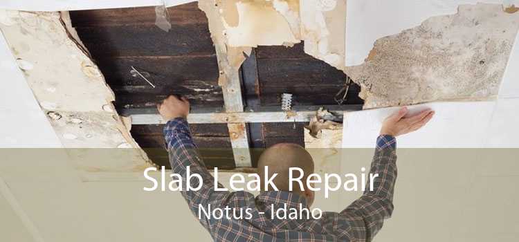 Slab Leak Repair Notus - Idaho