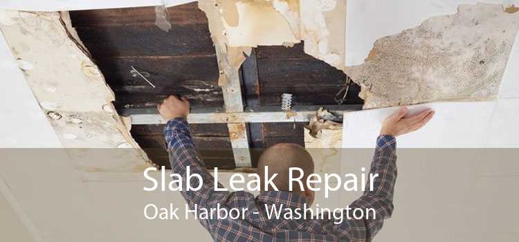 Slab Leak Repair Oak Harbor - Washington