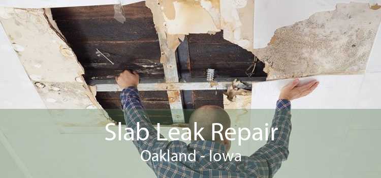 Slab Leak Repair Oakland - Iowa