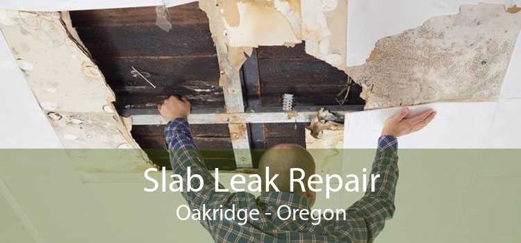 Slab Leak Repair Oakridge - Oregon