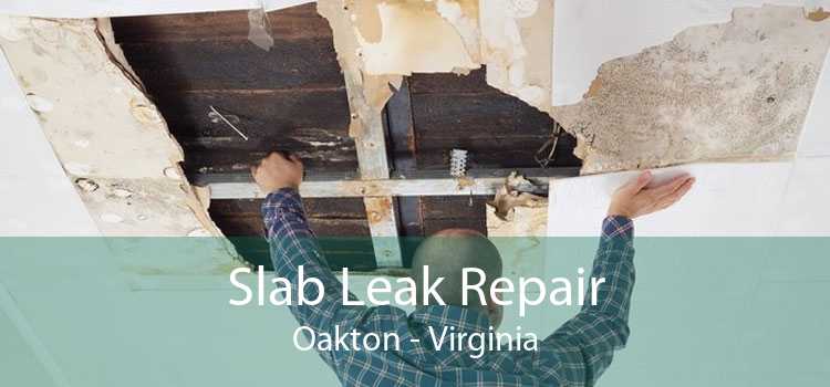 Slab Leak Repair Oakton - Virginia