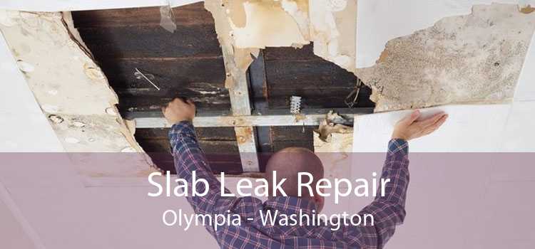 Slab Leak Repair Olympia - Washington