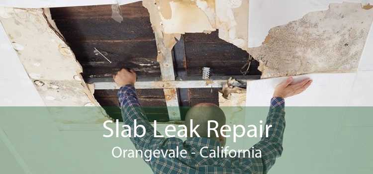 Slab Leak Repair Orangevale - California