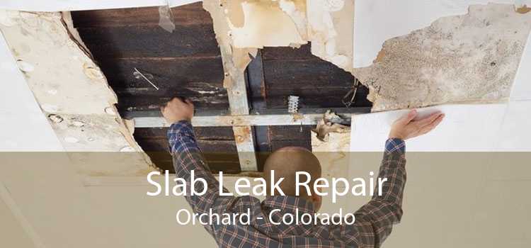 Slab Leak Repair Orchard - Colorado