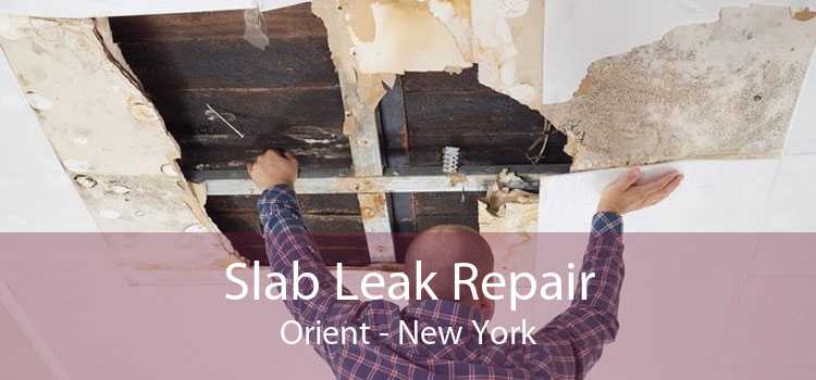 Slab Leak Repair Orient - New York